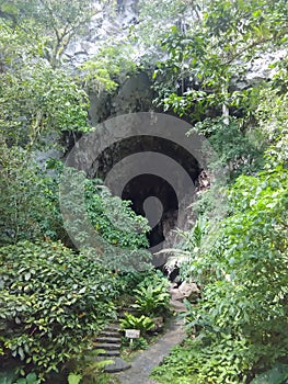La Cueva del Guacharo in MaturÃ Â Ã‚Â­n Venezuela
